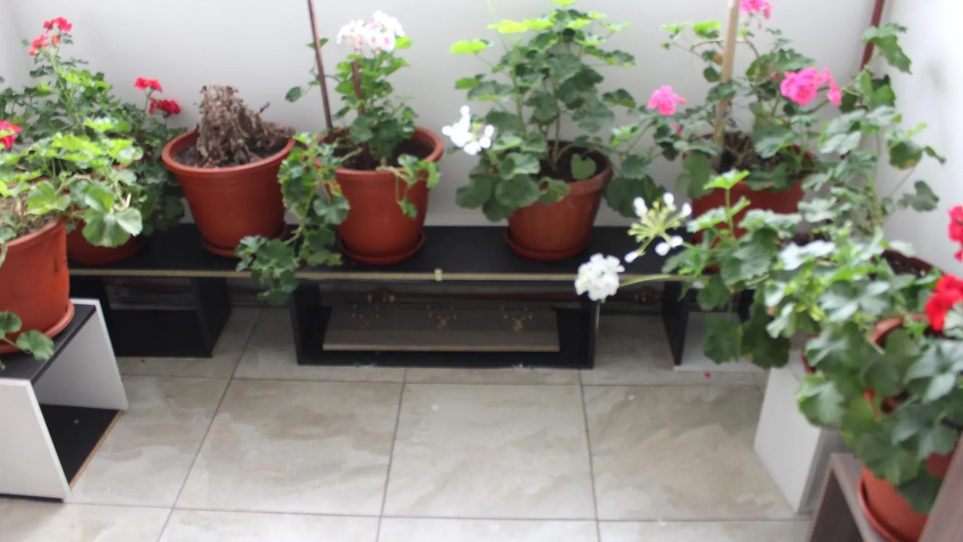 Julius Hostal, Desde Las 14 Horas Hasta 12 Del Mediodia Quito Guest house